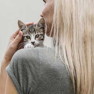 Diseño de sitio web personalizado en Alagón